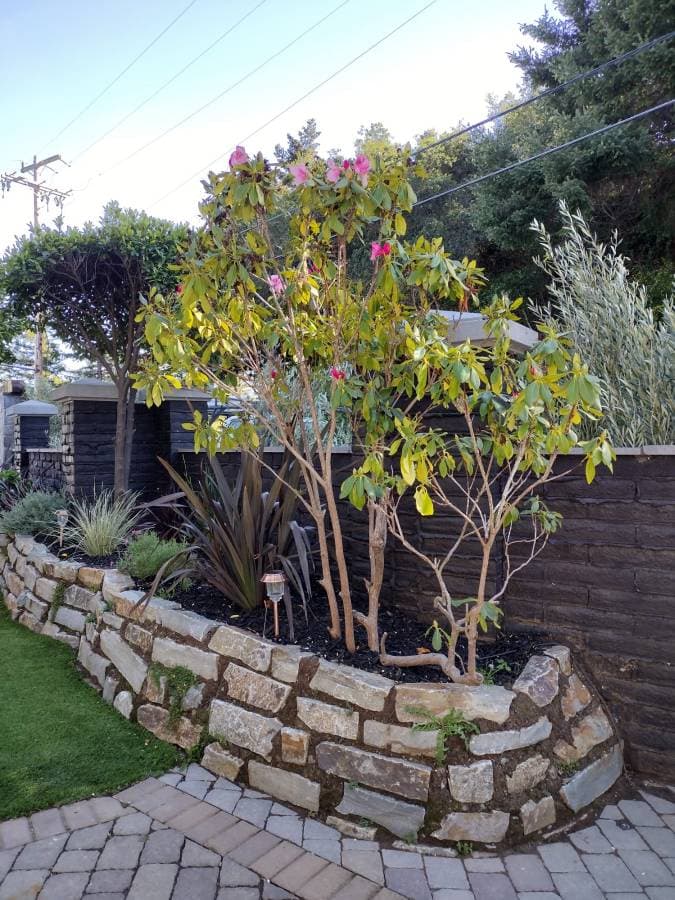 Shrub and plant installation as part of residential landscaping project